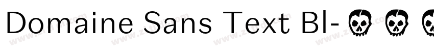 Domaine Sans Text Bl字体转换
